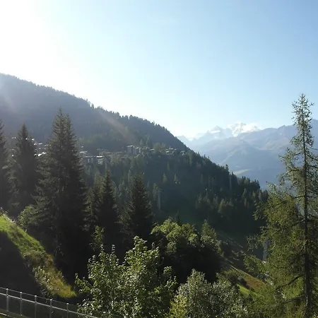 Mondzeu D034 Verbier